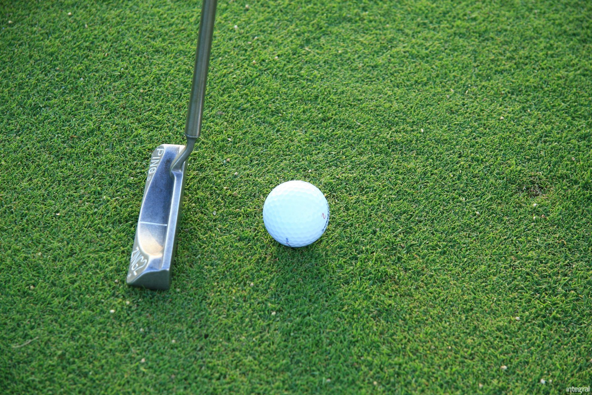 Golf-Green Artificial Grass Specialist, Manufacturer - Integral ® Grass