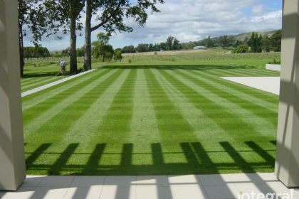 Natural grass carpets Natural grass carpets