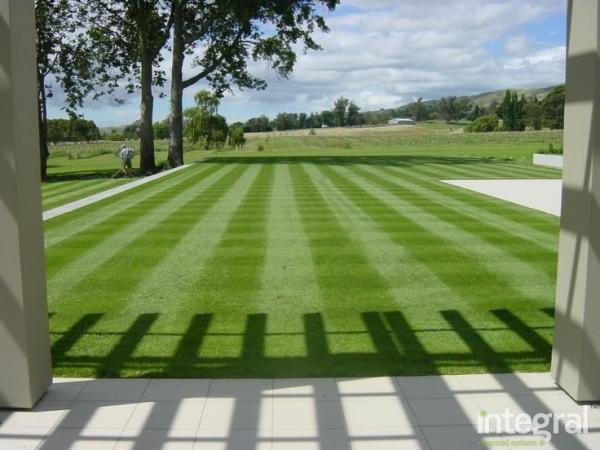 Natural grass carpets