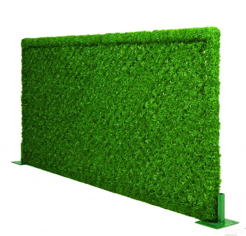  wall grass