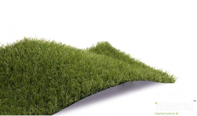 Artificial Grass