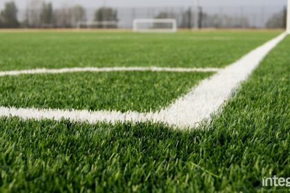 Natural Turf natural-turf
