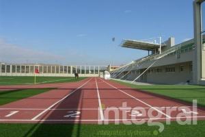 Artificial Fake Grass