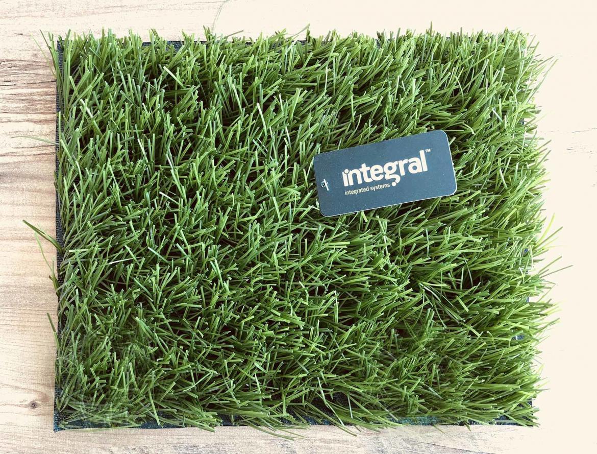 Artificial Grass Suppliers