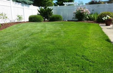 Synthetic Grass Reviews