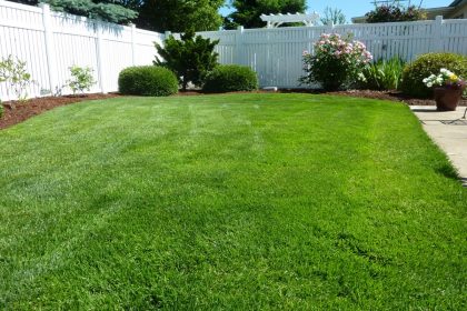 Synthetic Grass Reviews