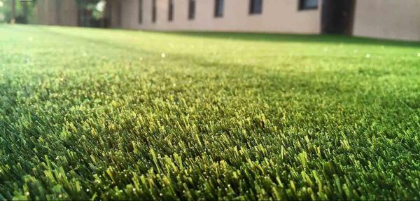 artificial grass for garden