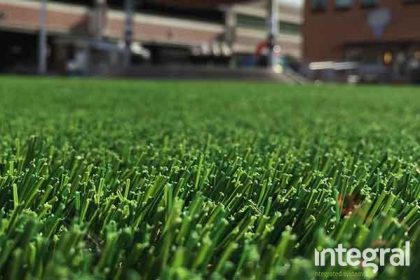 Artificial Grass or Natural Grass