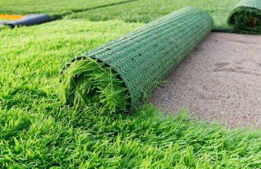 Why-Should-You-Prefer-Grass-Carpet