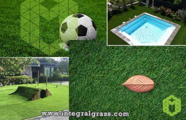 Natural Grass Diseases, and Artificial Grass Use Areas