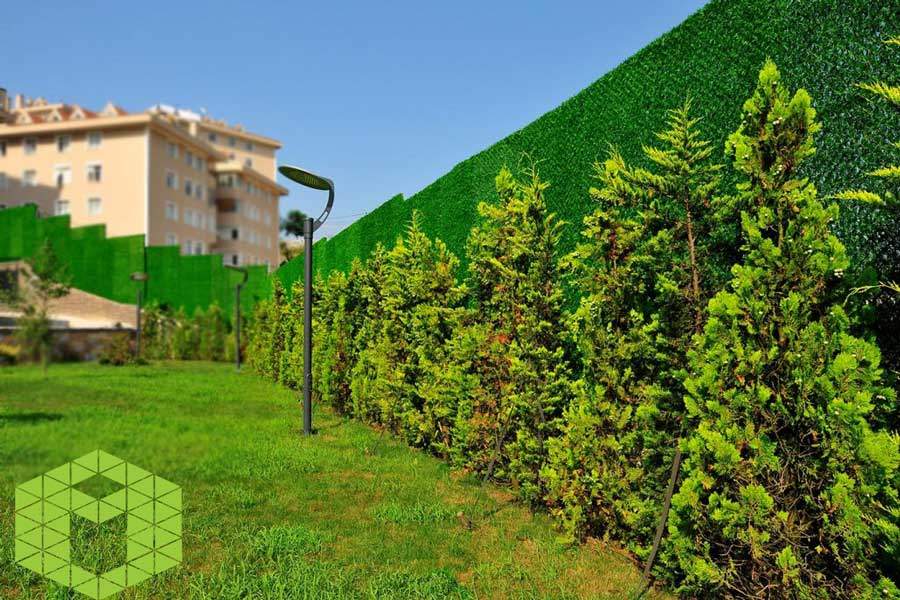 Surround Your Garden with Wallgrass!