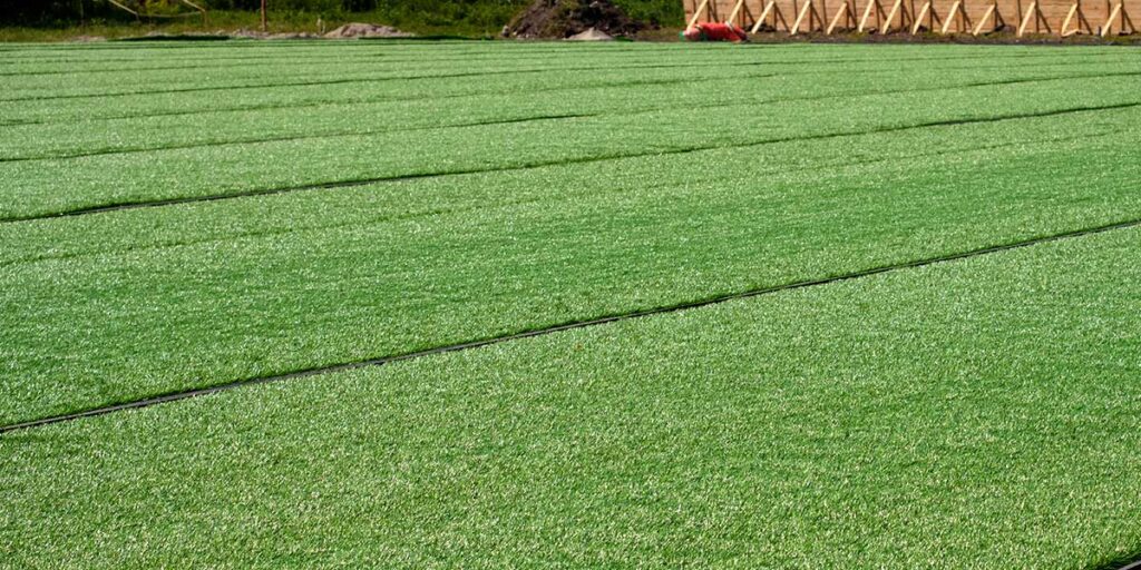 what-should-be-considered-when-using-grass-rug