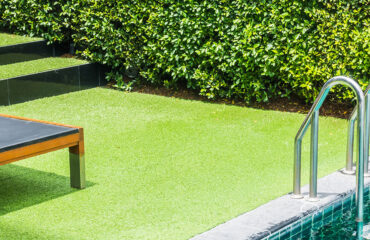 decorative grass for gardens