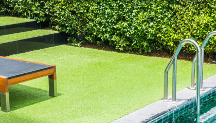 decorative grass for gardens